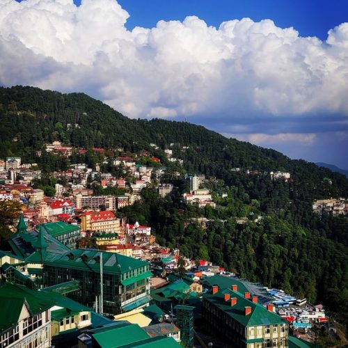 Shimla